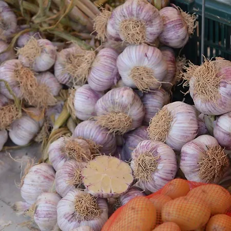 Lägenhet 2 Pieces, Terrasse, Parking Prive, Proche Plage, 6 Couchages - - Fr-1-251-547 Le Lavandou