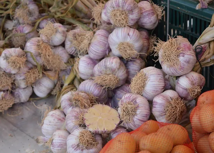 Lägenhet 2 Pieces, Terrasse, Parking Prive, Proche Plage, 6 Couchages - - Fr-1-251-547 Le Lavandou